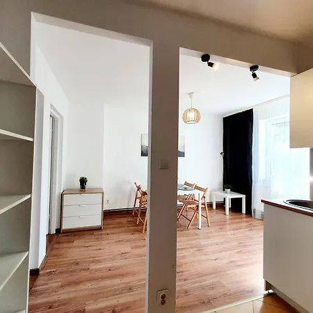 Apartment Duze Mieszkanie We Wrzeszczu *