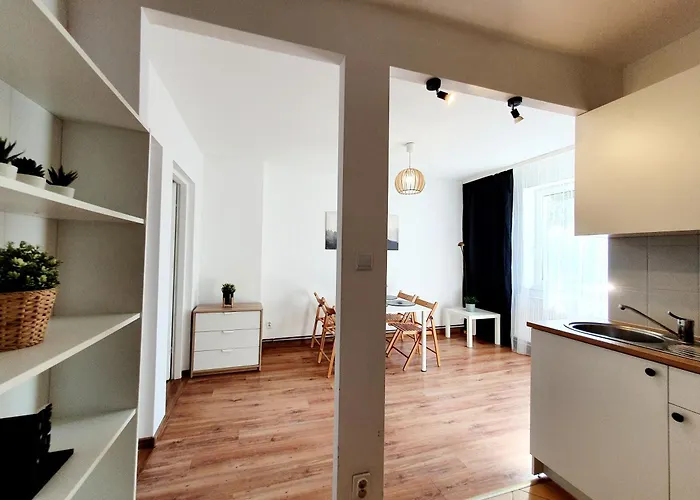 Apartment Duze Mieszkanie We Wrzeszczu *